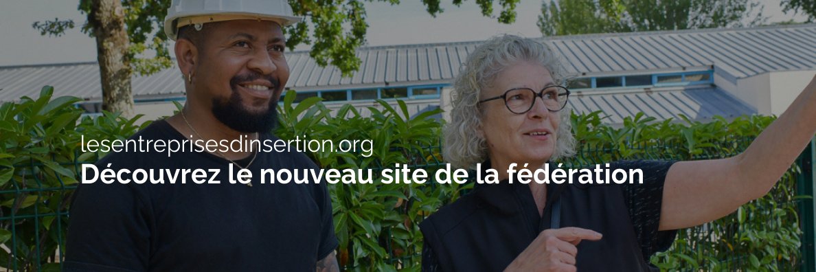La fédération des entreprises d'insertion banner