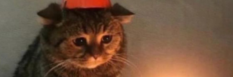 cisdevoldere22's profile banner image