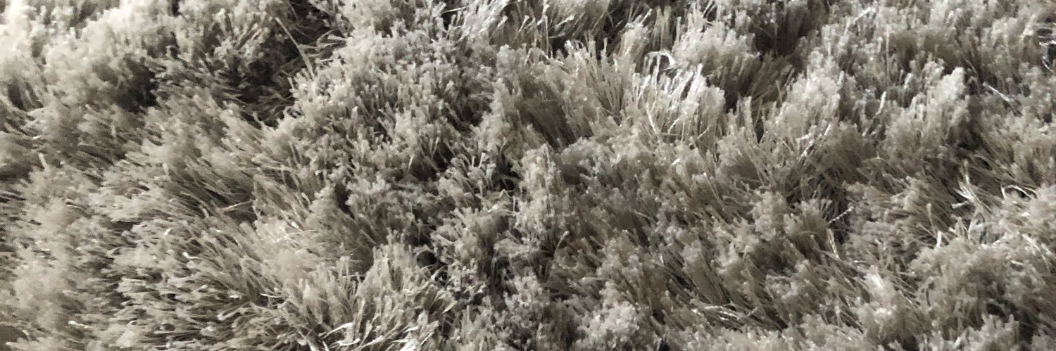 softseavey's profile banner image
