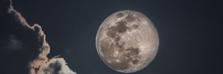 seed_onenok's profile banner image