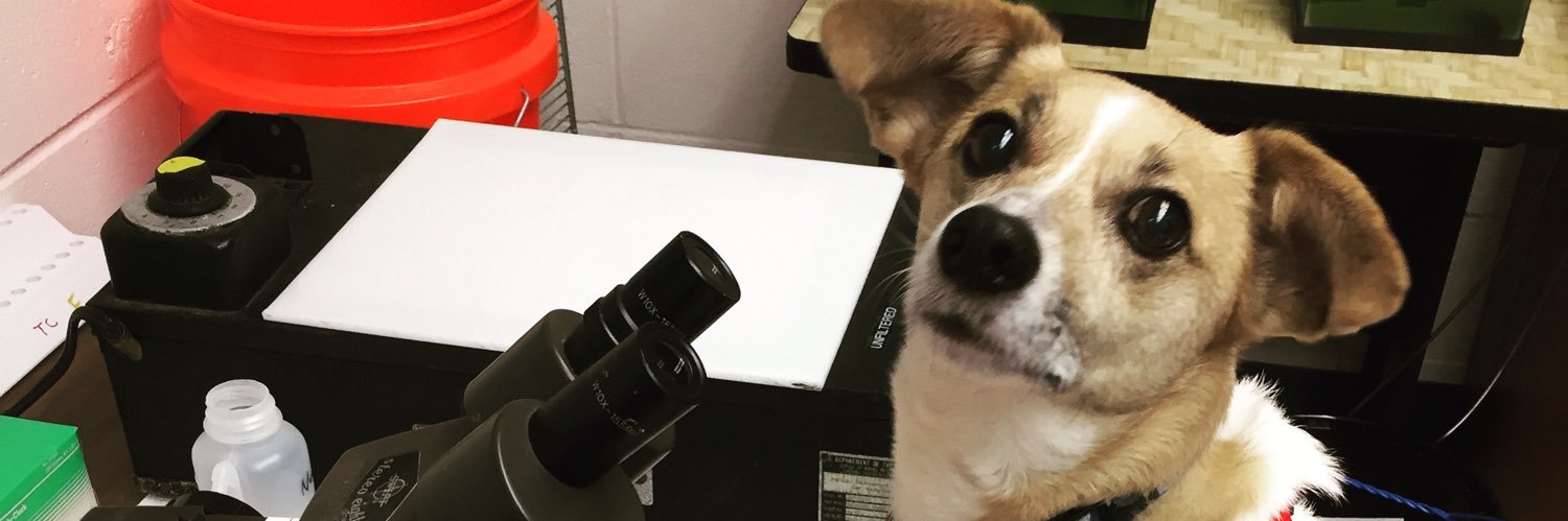 Megan Sandoval-Powers banner