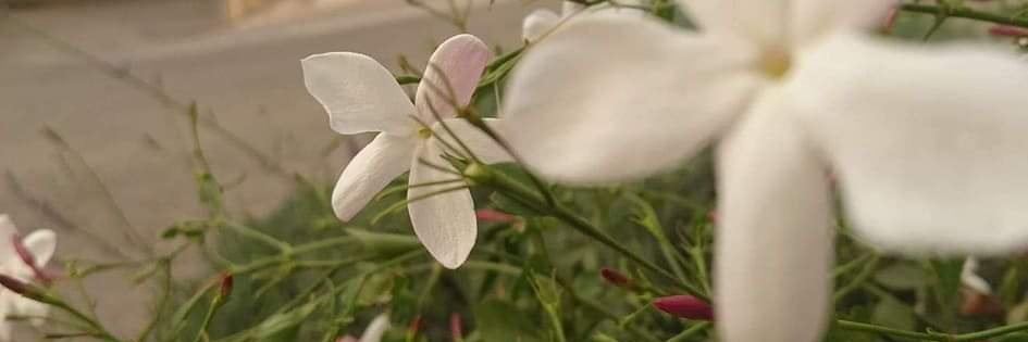 gharam_khalil's profile banner image