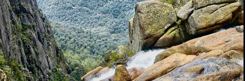 George Walker banner