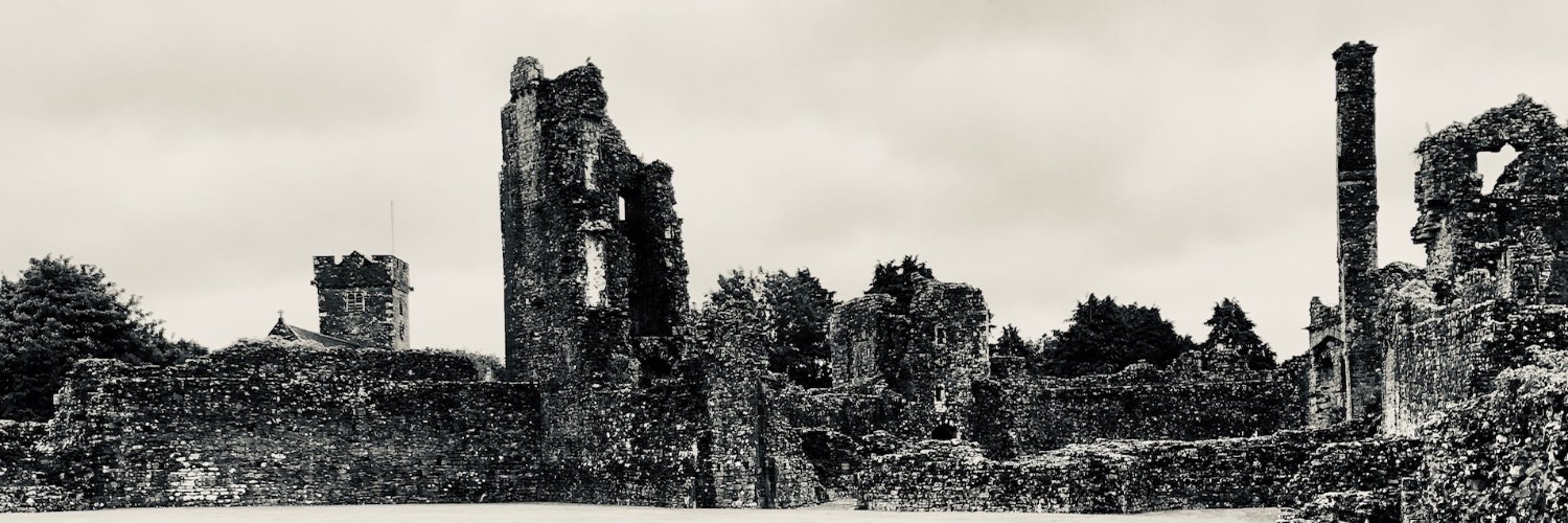 Knight_Abi's profile banner image