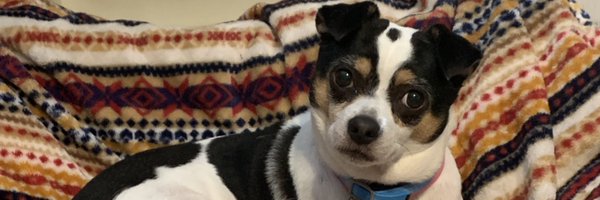 tjeast Profile Banner