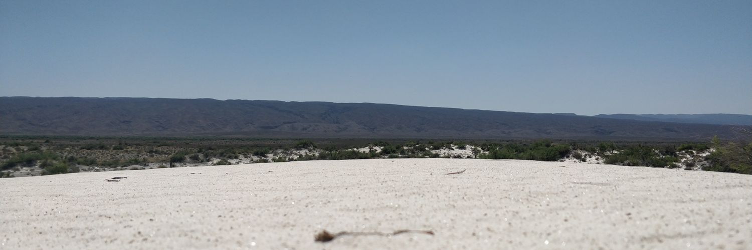 Miguel Gonzalez banner