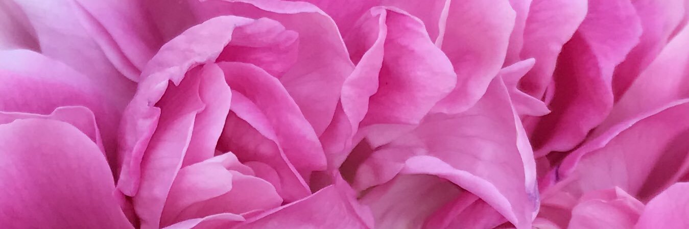 florianhove's profile banner image