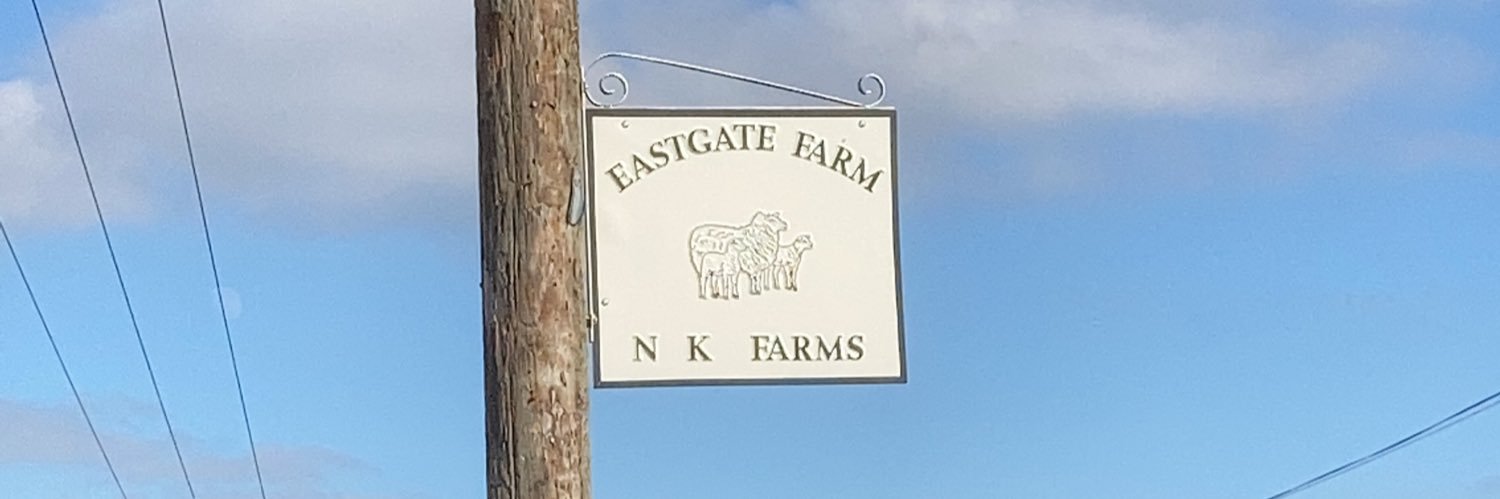 SolitaireFarmSh's profile banner image