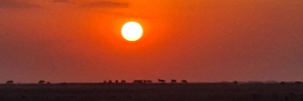 adharyat Profile Banner