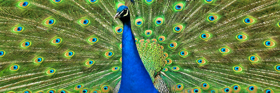 colourdesign3's profile banner image
