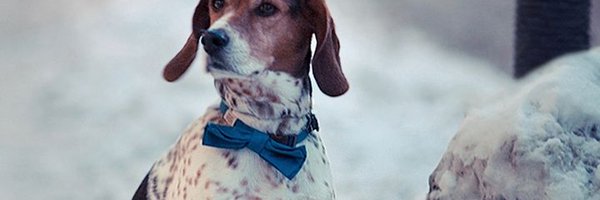RealKhanSaab Profile Banner