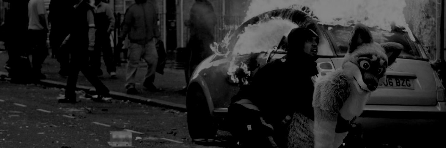 mexifurfoof's profile banner image