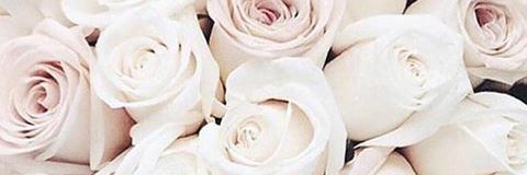 marina_prt's profile banner image
