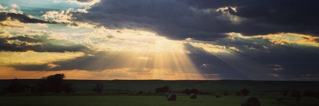 lforsh's profile banner image