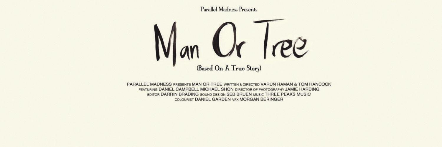 PARALLEL MADNESS banner