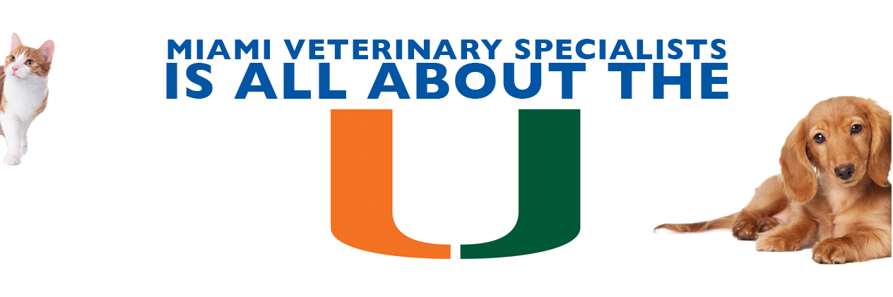 miamiveterinary's profile banner image