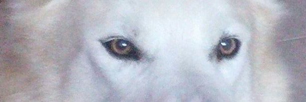 cargals's profile banner image