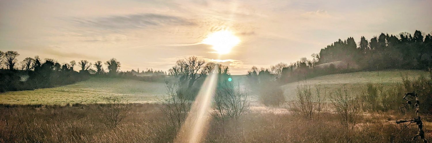Seánie Johnston banner