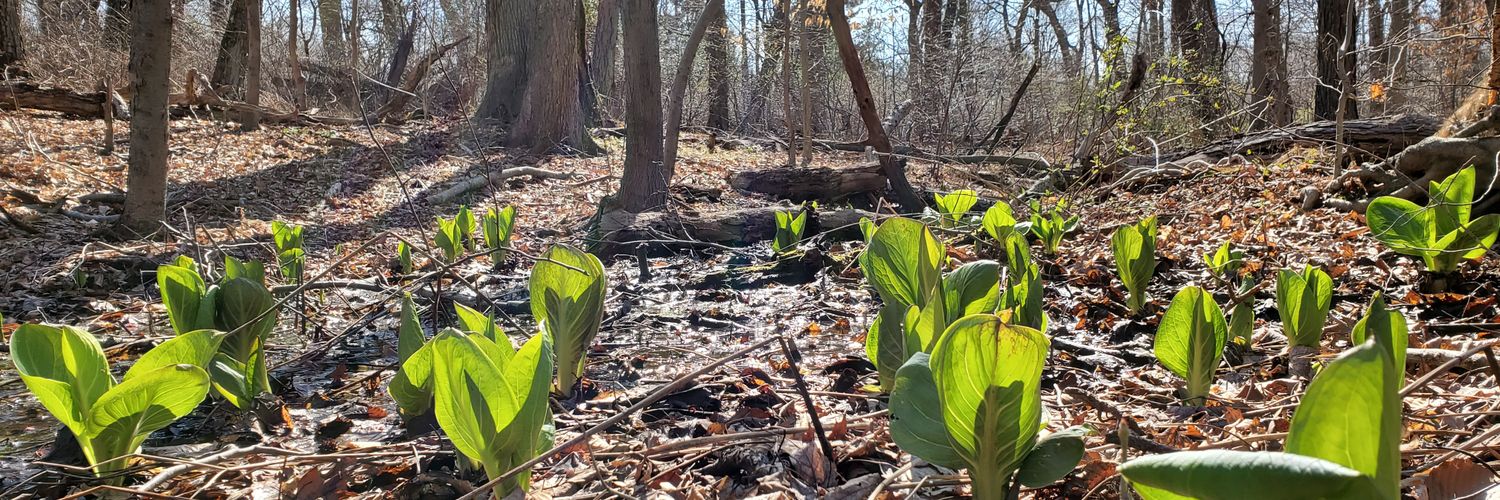 Chandra Khatiwada banner