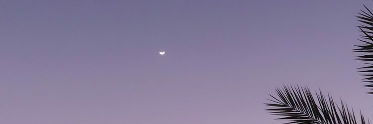 inf1n1te_loop's profile banner image