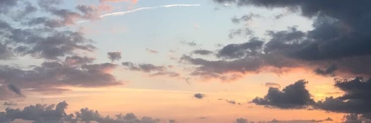 linaprvx's profile banner image