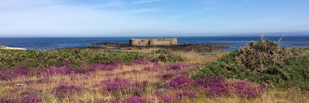 Cara Rubinsky banner