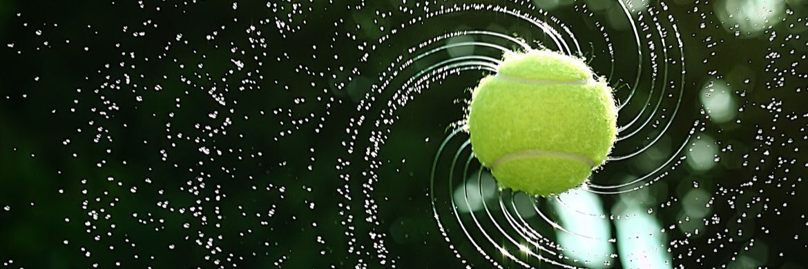 Fabio Ferraro banner