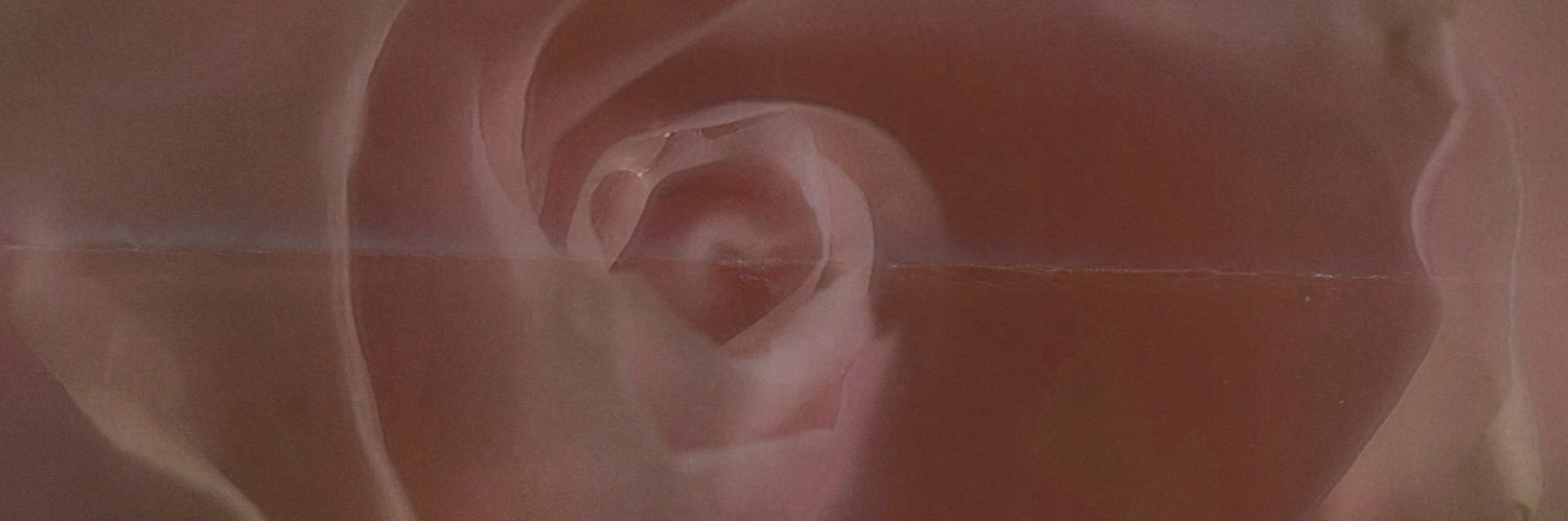silviaavc's profile banner image