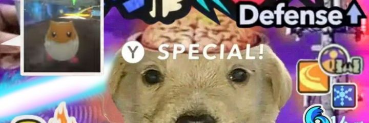 LynRagked's profile banner image