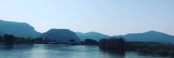 andy_tumilty Profile Banner