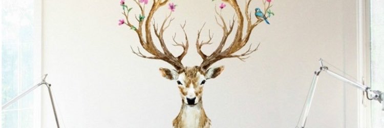 rachelhaeuserer's profile banner image