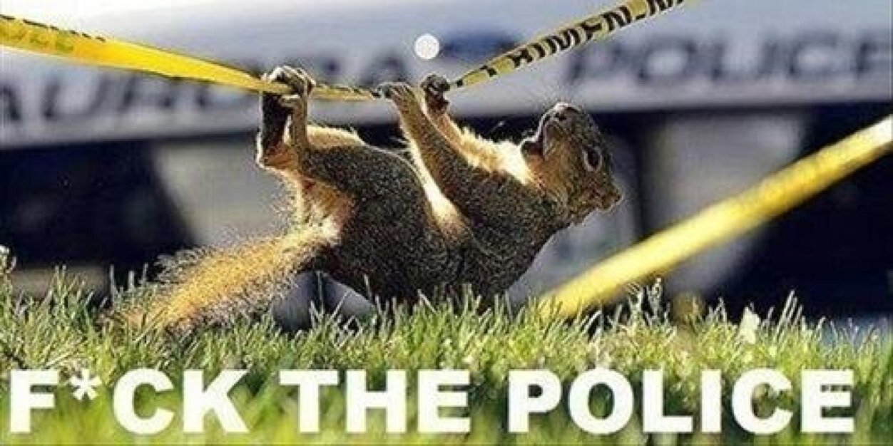ClemsonSquirrel's profile banner image