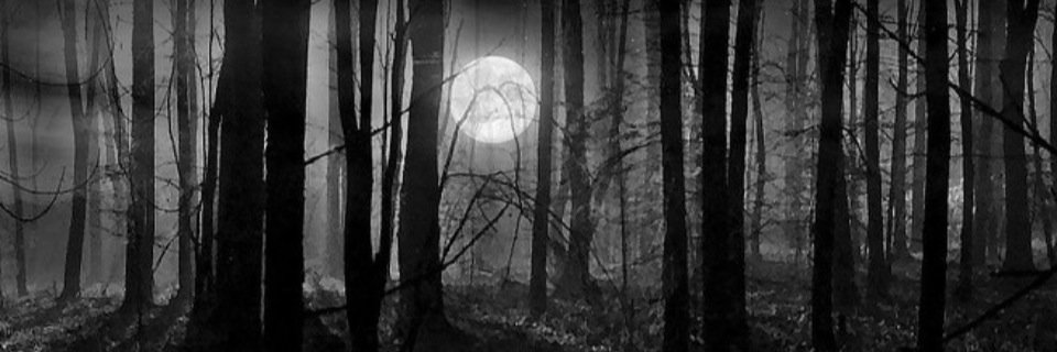 ScaryVids_'s profile banner image