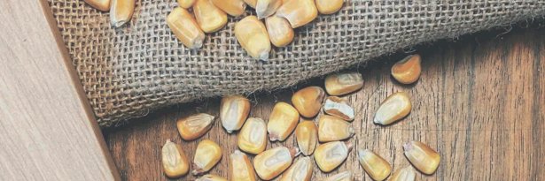ADPAN SIN ALÉRGENOS 🌽 banner