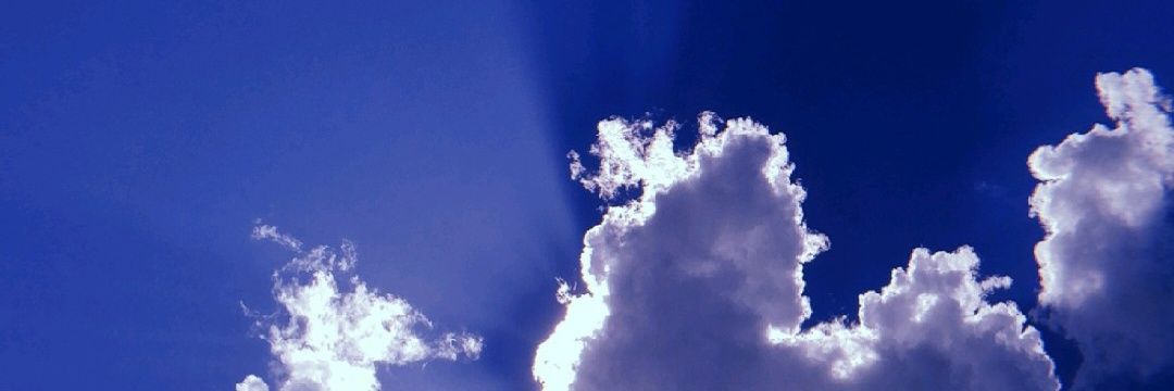 paulaFlorii's profile banner image