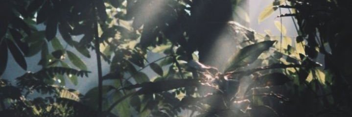 b_21ss's profile banner image