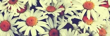 ShaaanMarshall's profile banner image