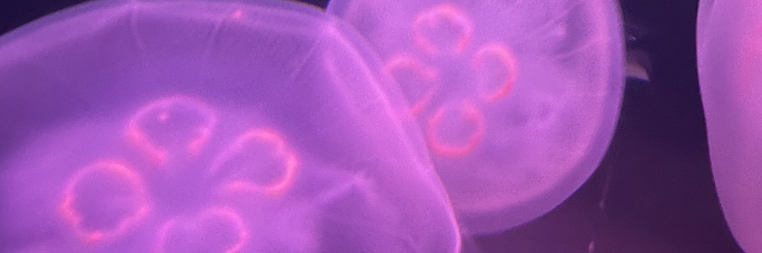 chunglund's profile banner image