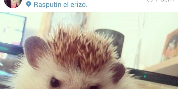 OlguitaHR's profile banner image