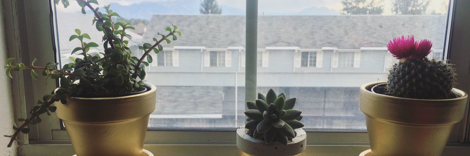 kyleesuebear's profile banner image