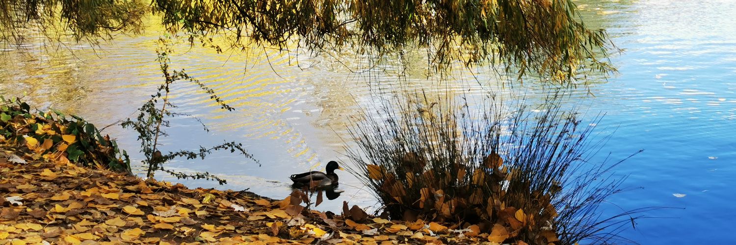 k2aramelo's profile banner image