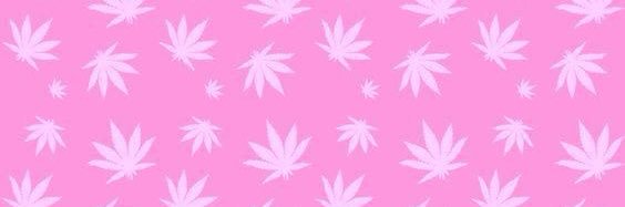 alipal93's profile banner image