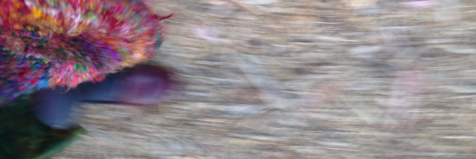 cjenkins's profile banner image