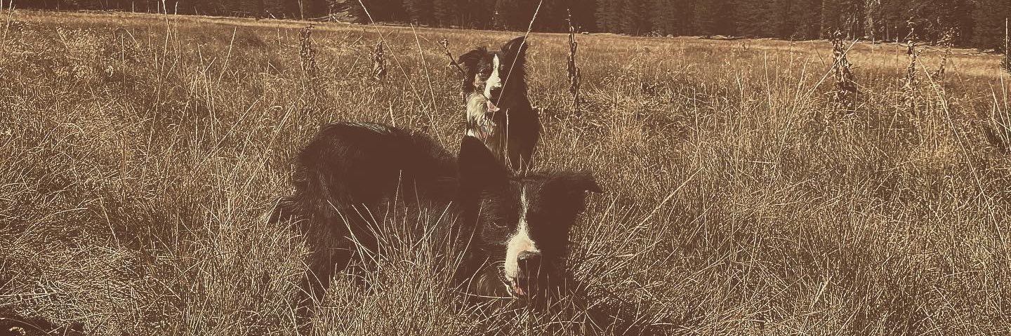 Randi_beth36's profile banner image