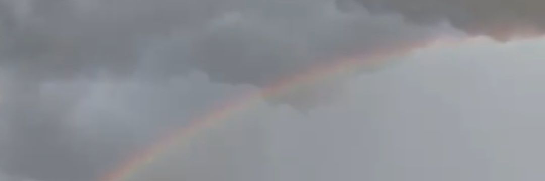 Elle_Tesoro's profile banner image