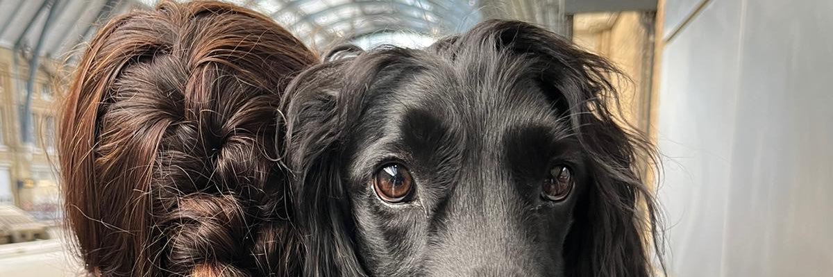 MollyNiklas's profile banner image