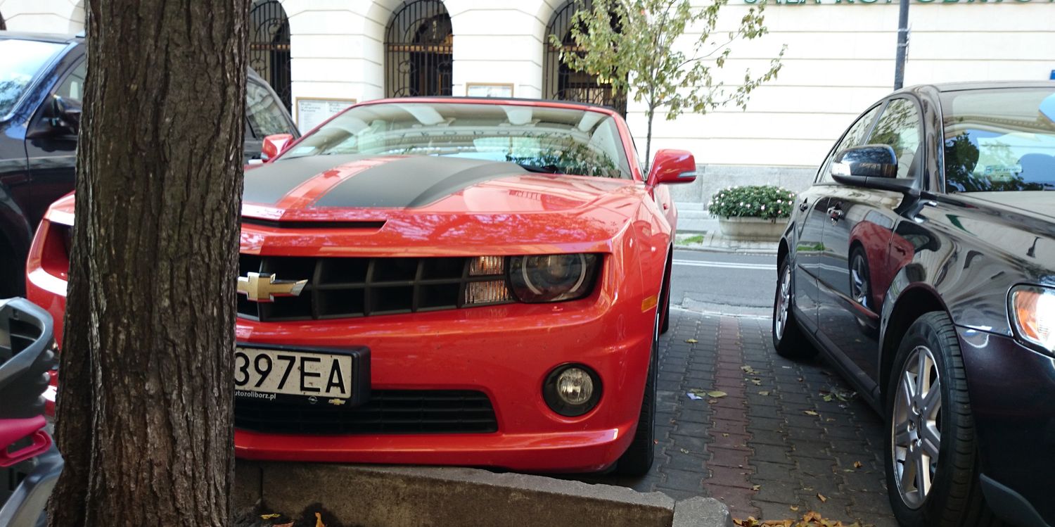 mateusz1176's profile banner image
