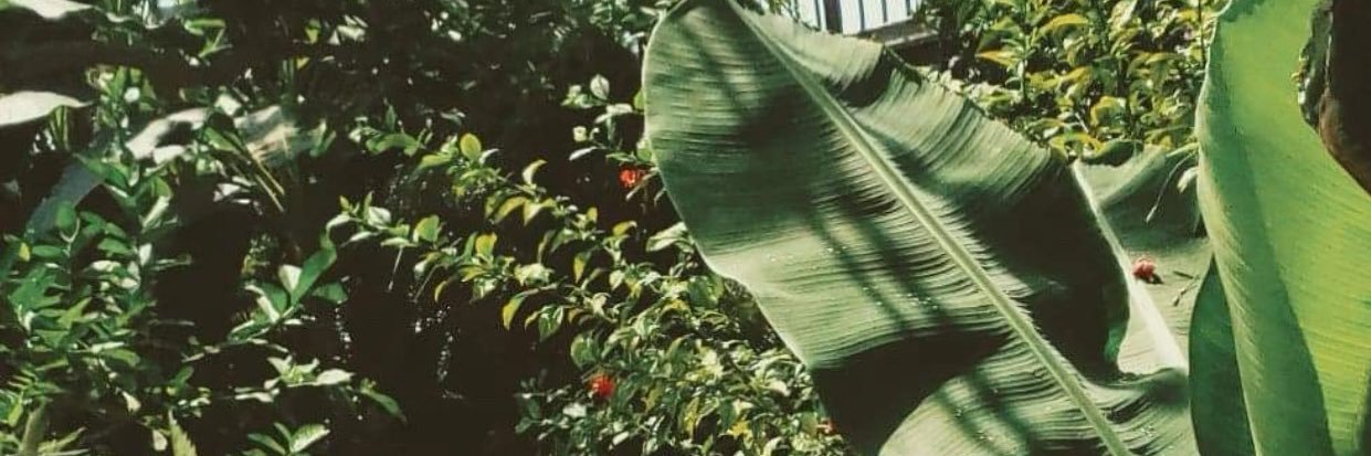 annamarr's profile banner image