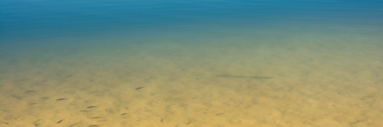 hellyeahserissa's profile banner image