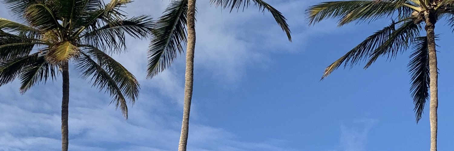 castagnerirene's profile banner image